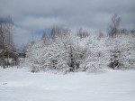 arrieredelamaisonenneige