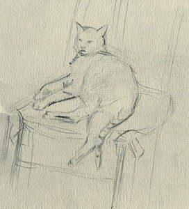 le chat de massicotte