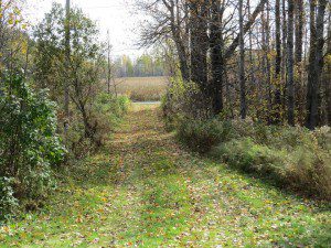 allee