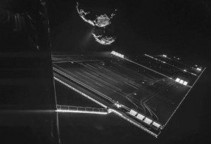 rosetta tchoury