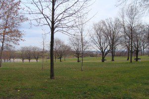 vue des plaines en novembre