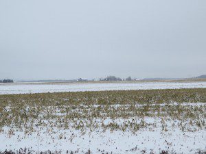La plaine