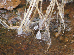 larmes de verre de glace