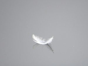 libre