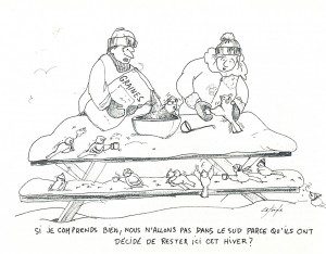nourrir les oiseaux en hiver
