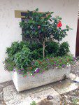image quatre