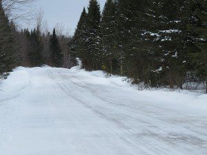 route forestiere