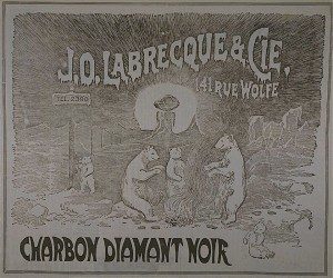ours blanc
