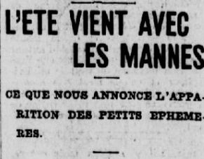 les mannes