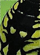 masque deux