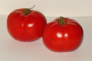 Tomates