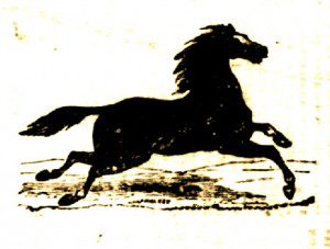 Cheval