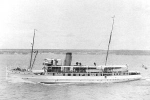 lady grey