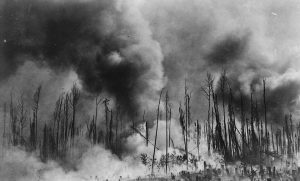 feu de foret