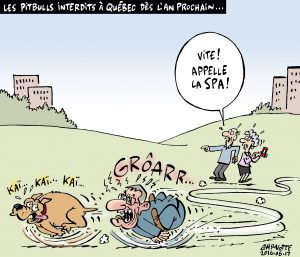 les pitbulls interdits a quebec des lan prochain