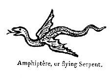serpent volant