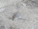 Bain de sable deux