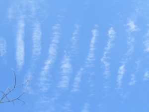 Frisson de ciel