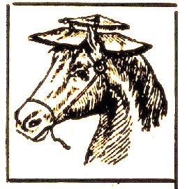 garde-soleil pour les chevaux