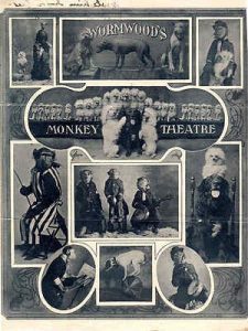 monkey theatre