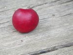 prune cinq
