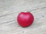 prune quatre
