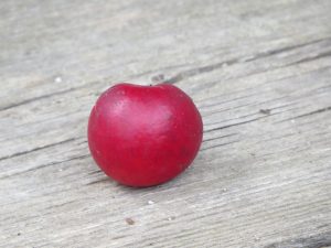 prune un