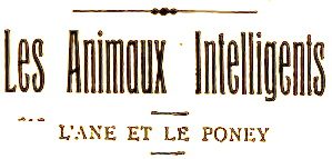 animaux-intelligents