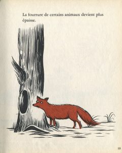 p-19-le-renard