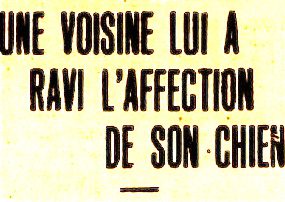 affection-de-son-chien-perdue