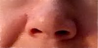 nez