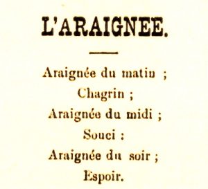 araignee