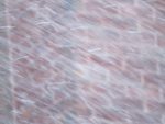 tempete